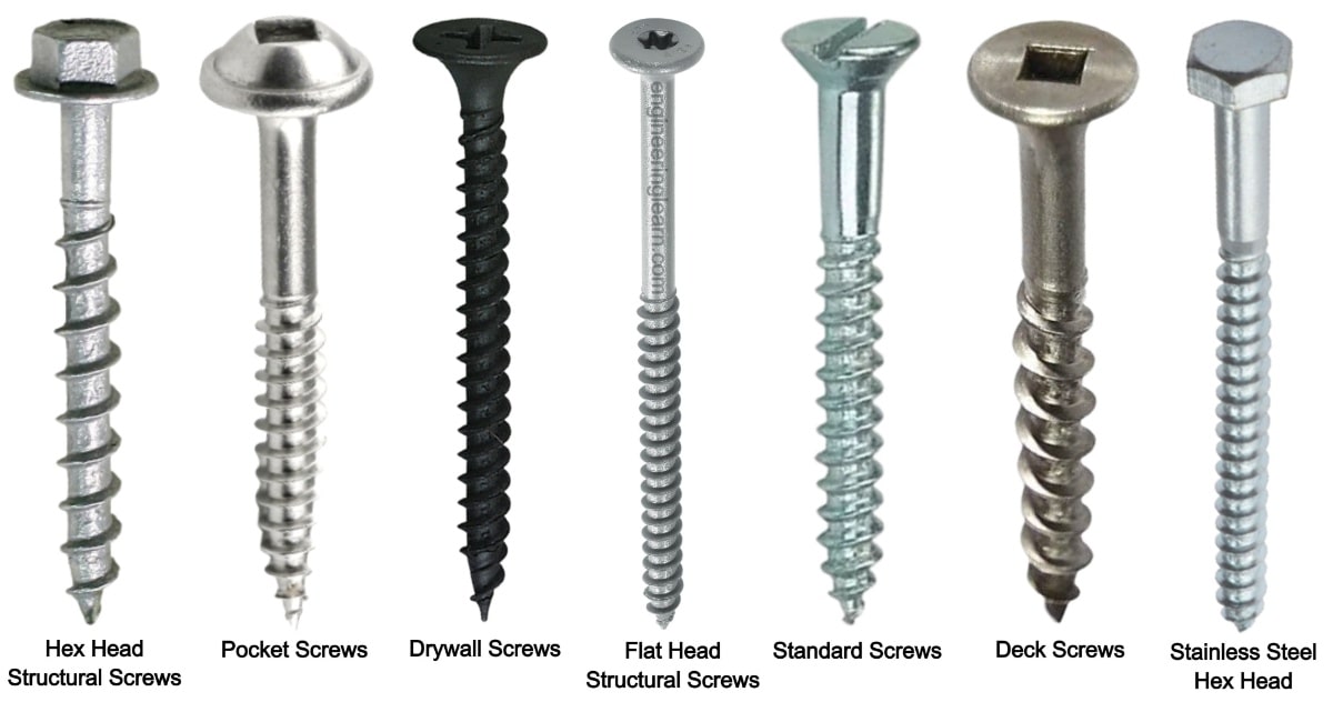 Different Types Of Screws Their Uses Lawsons - vrogue.co