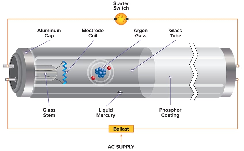 Fluorescent Light Bulb