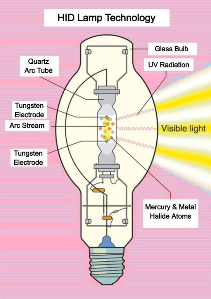 Hid Bulb