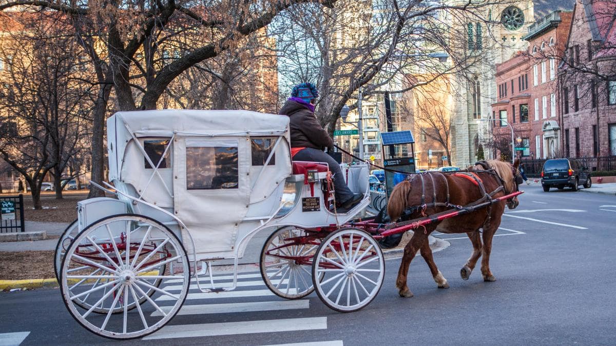 54 Types of Vehicles Benefits of Vehicles [with Pictures & Names