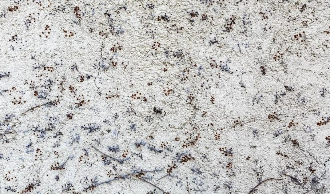 What is Concrete? 26 Types of Concrete, Uses, Properties, Advantages