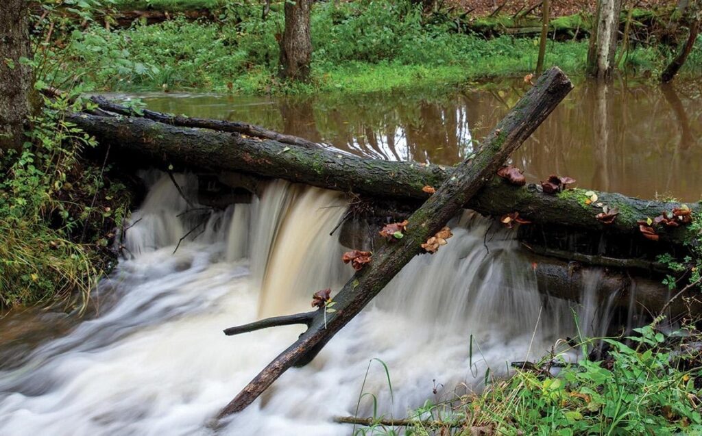 Debris Dam