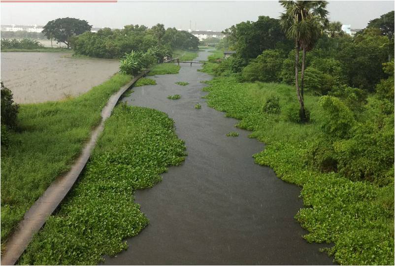 Inundation Canal