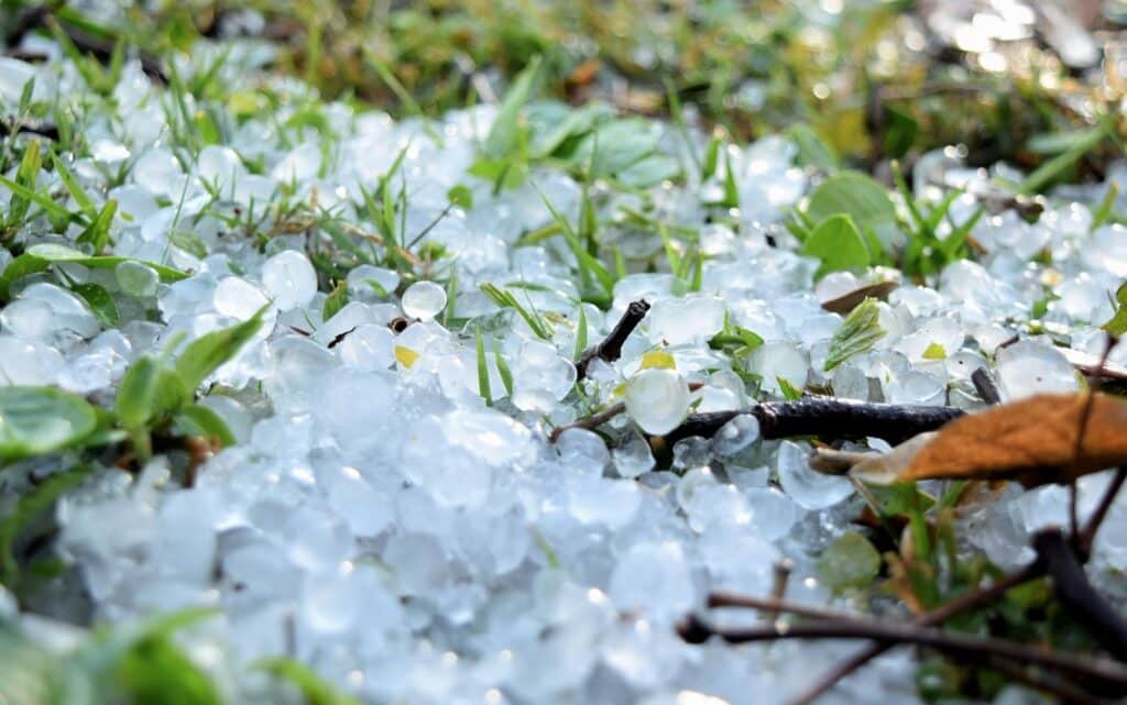 Snow Grains