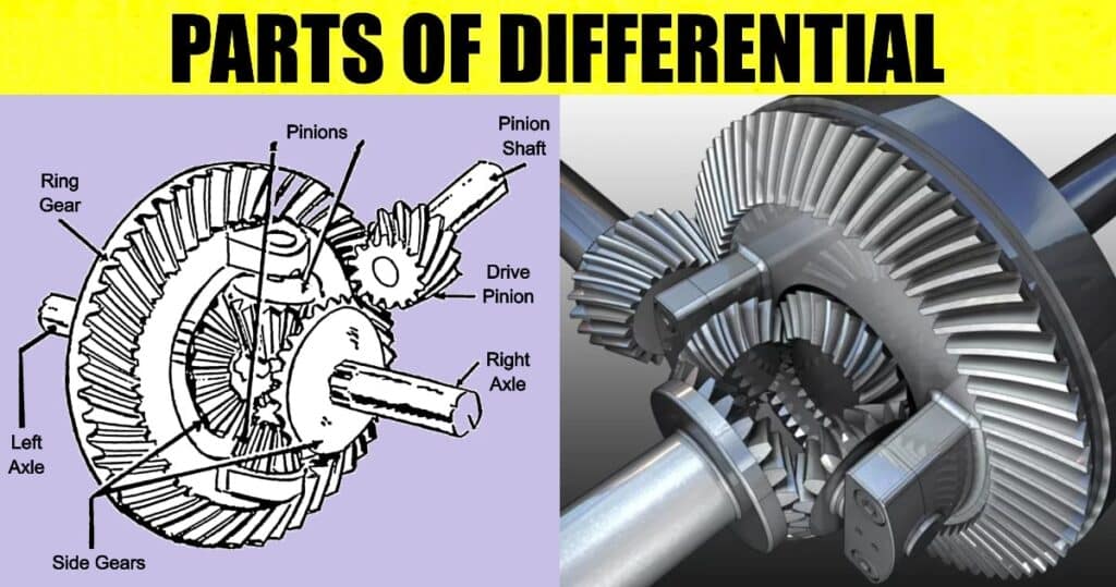 Parts of Differential and Their Functions [Complete Details]