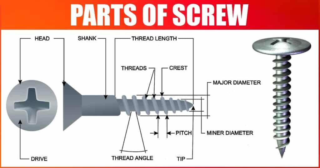 7 Parts of Screw and Their Function [Complete Guide]